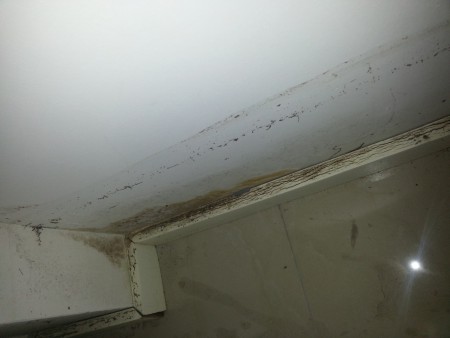 schimmel in de kelder