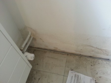 schimmel problemen in de kelder